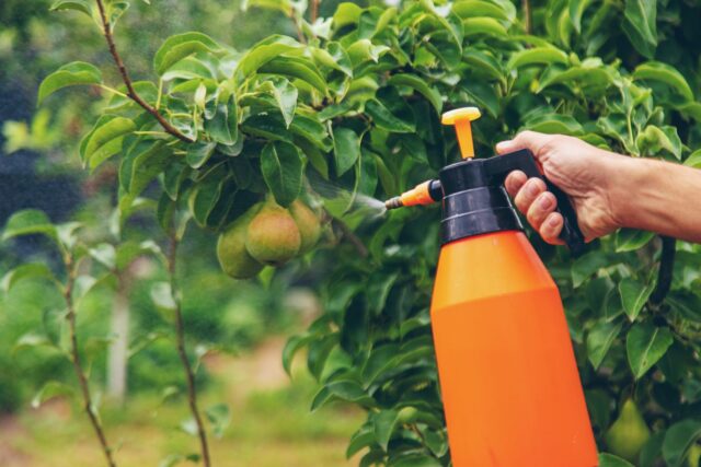 prohibición pesticidas jardín